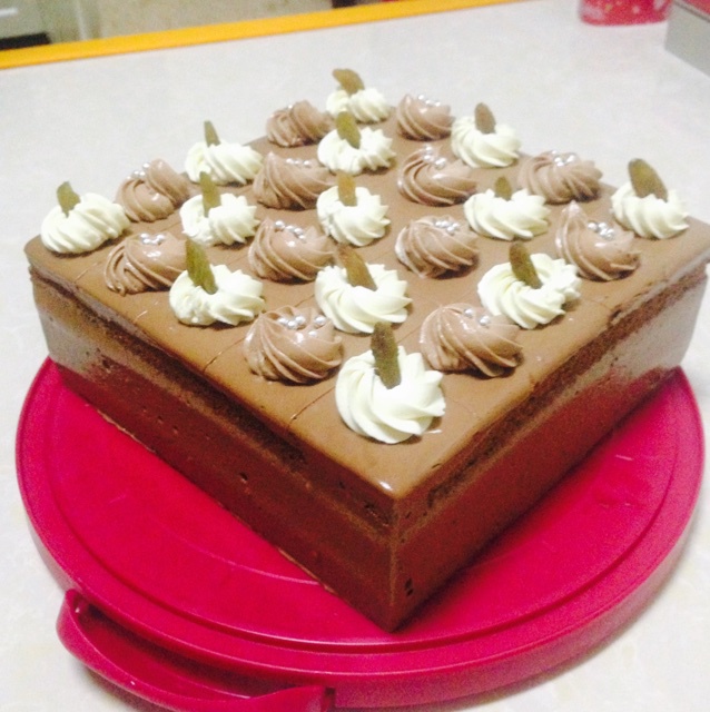 燕儿在林梢-4做的巧克力方形慕斯蛋糕
