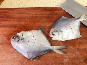 红烧鲳鱼的做法 步骤2