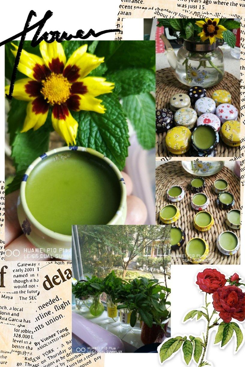 自制紫草膏、艾草膏、薄荷膏