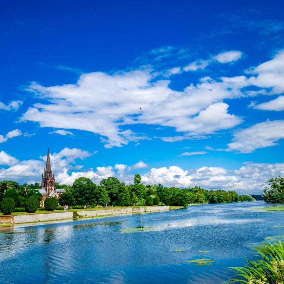 爱与正义土豆泥