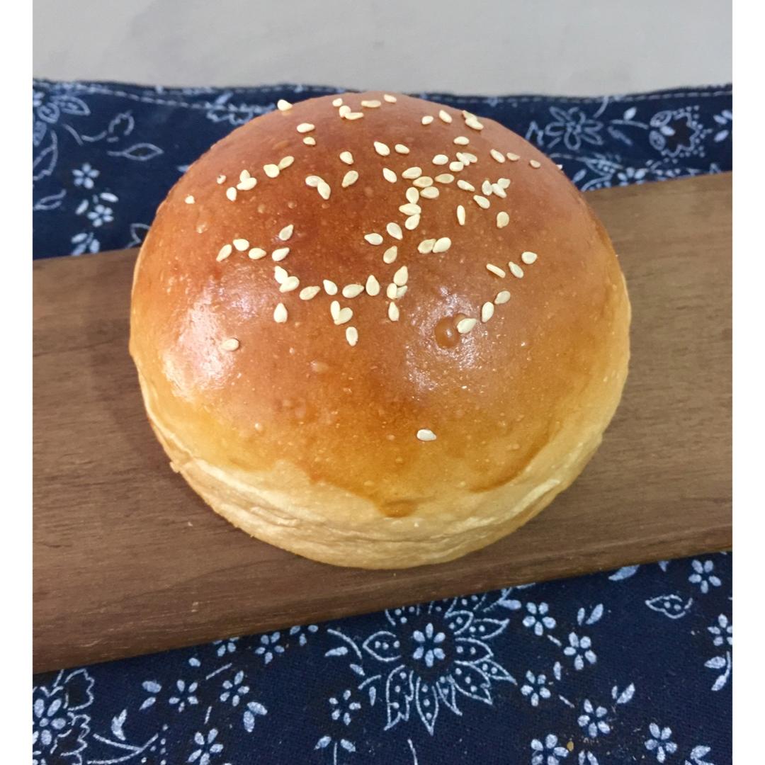 汉堡胚（中种法）