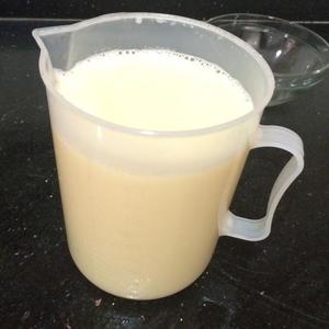 美容养颜的牛奶炖蛋的做法 步骤2