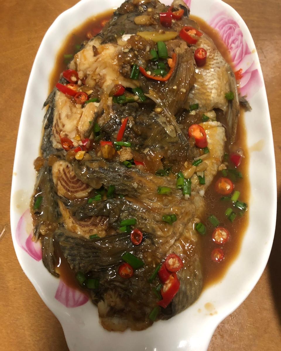 红烧鱼视频