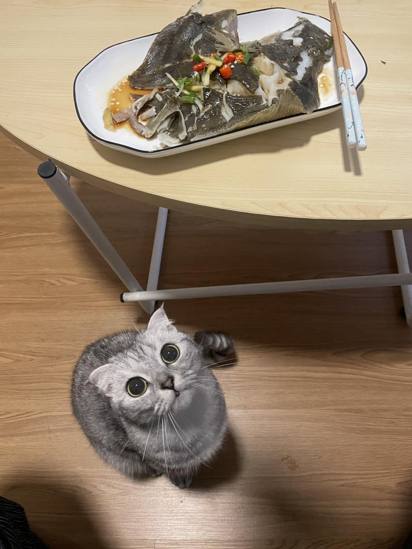 清蒸多宝鱼