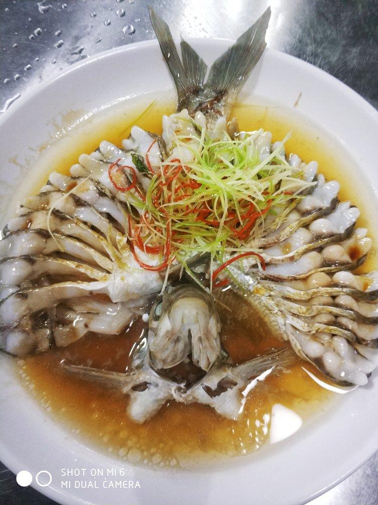 陌离小哥哥做的清蒸扁鱼