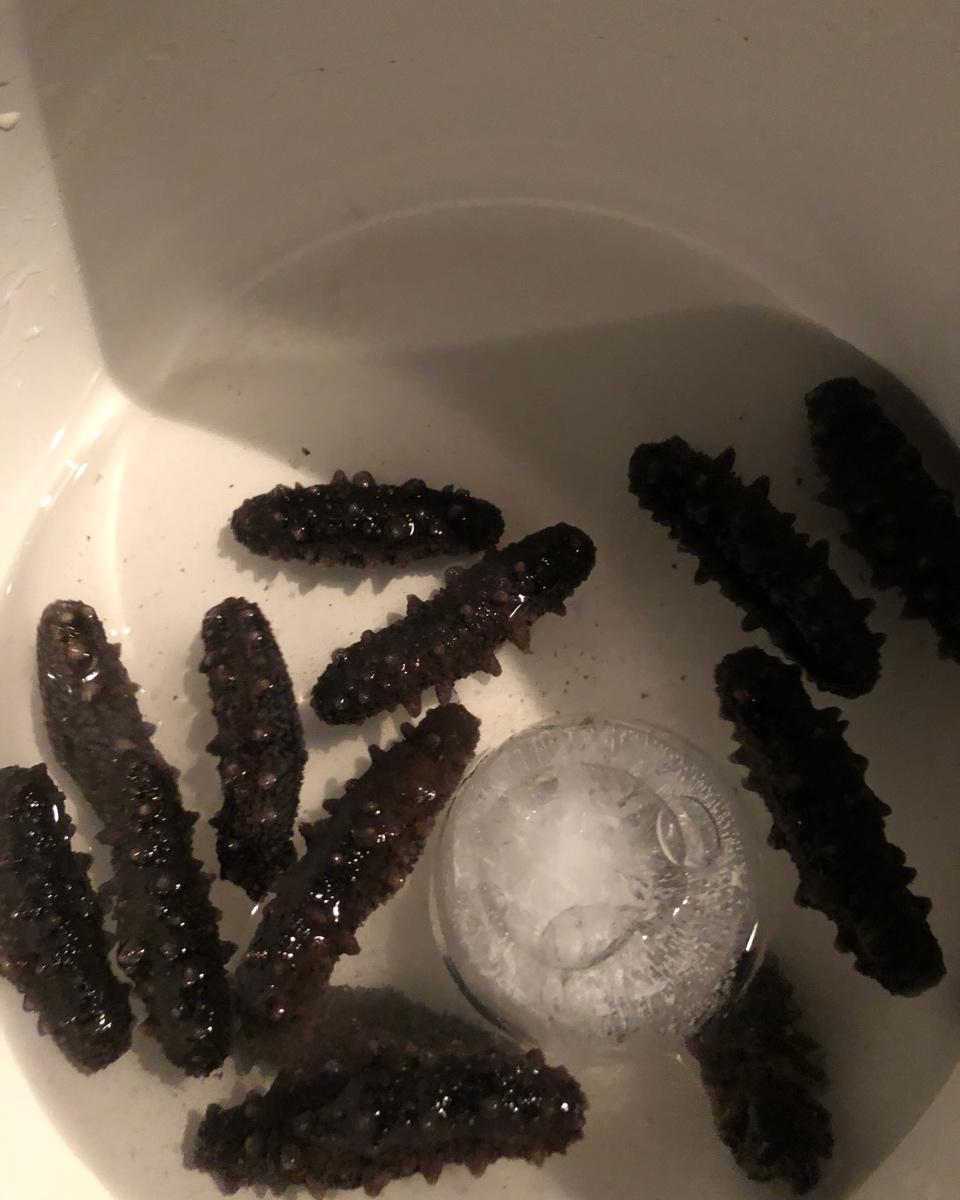 泡发海参