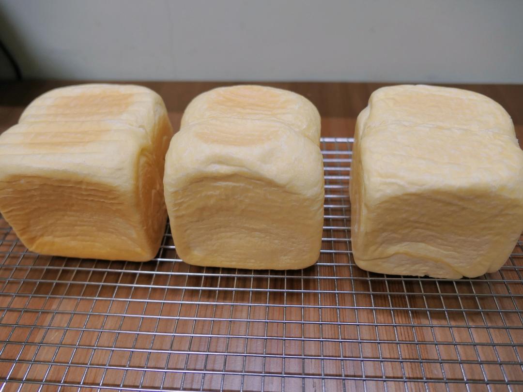🍞10X10水立方｜可爱小吐司｜经典白吐司