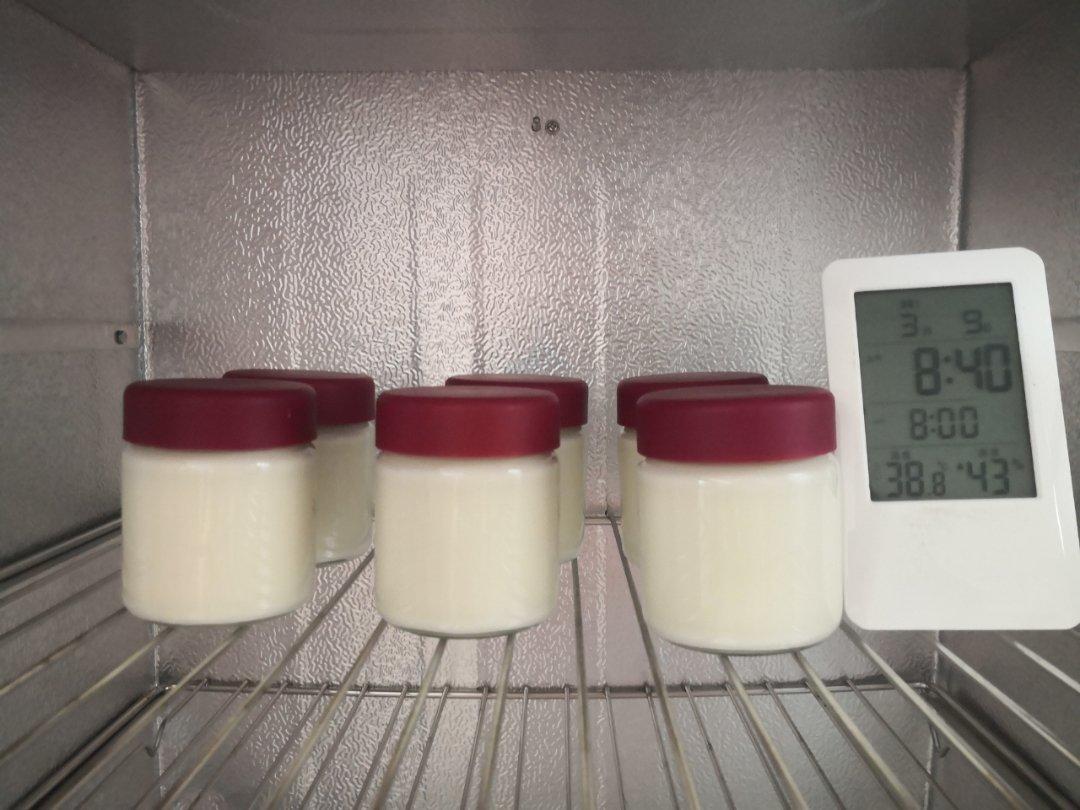 自制酸奶简述