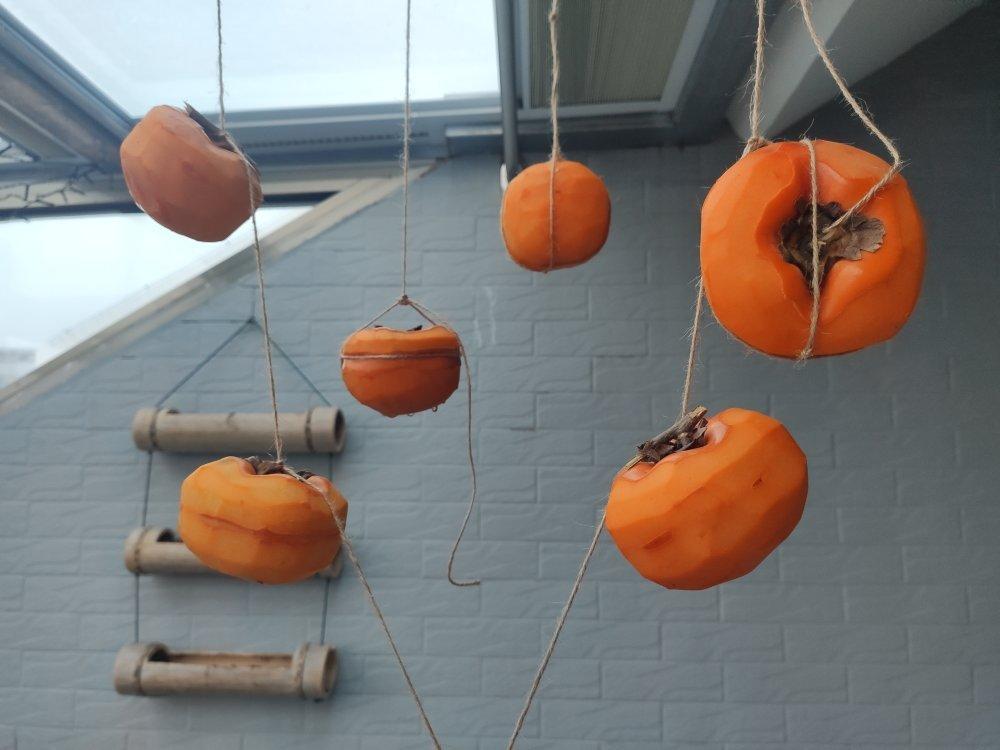 【吊柿】DIY晒柿饼