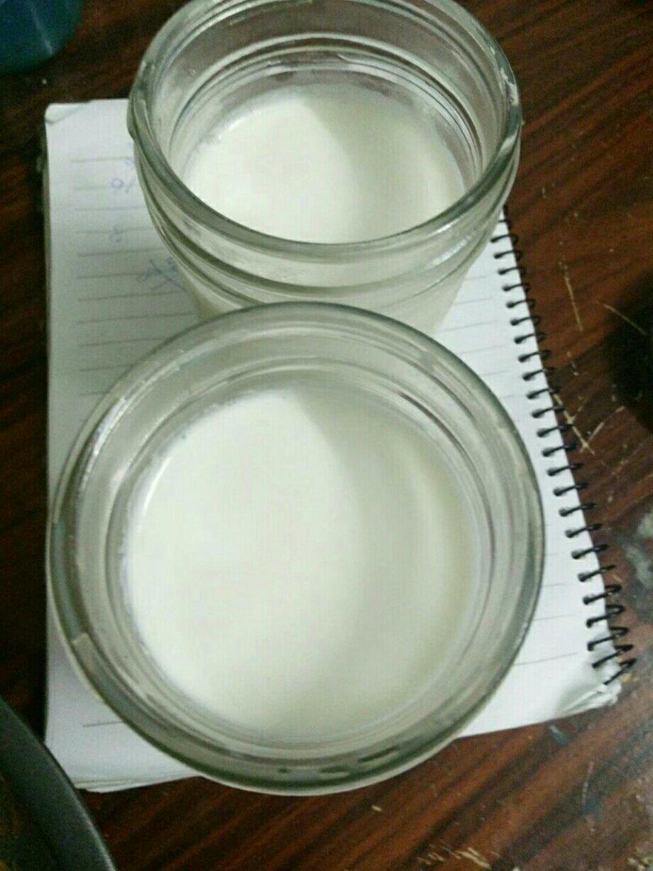 烤箱自制酸奶