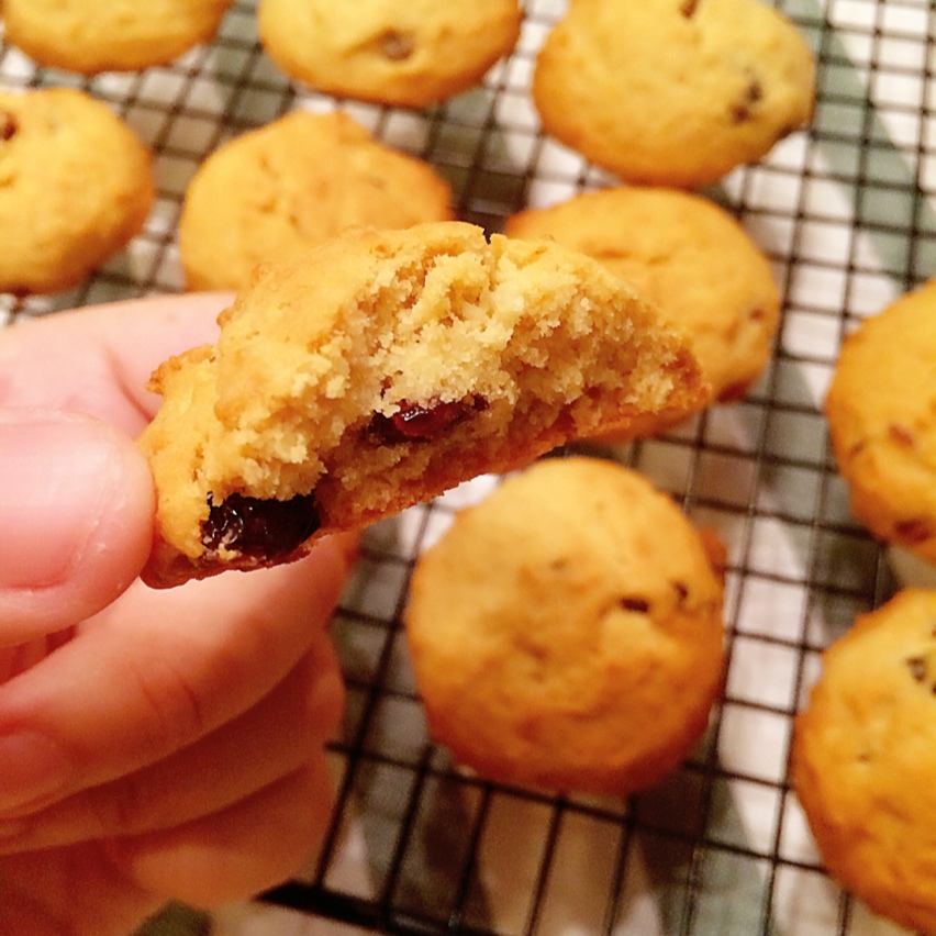 蔓越莓椰子曲奇 Cranberry & Coconut Cookies
