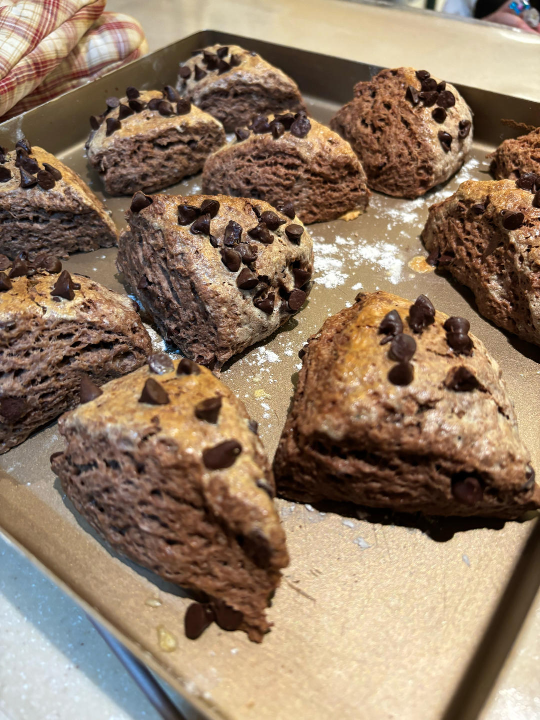 免揉面免打发❗️超浓郁巧克力司康❗️一次成功