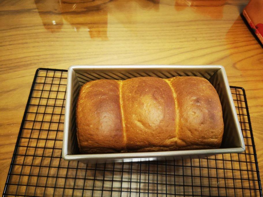 北海道巨蛋吐司