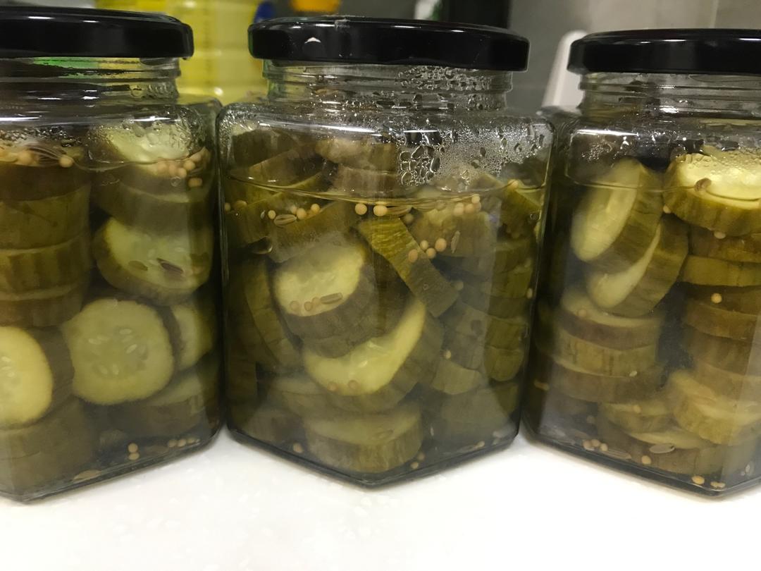 俄式酸黄瓜