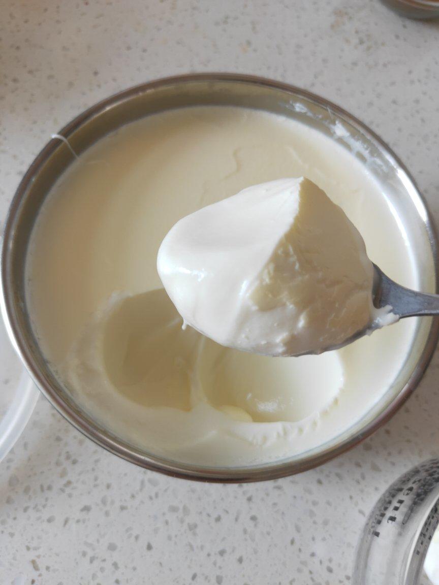 卡士酸奶在家做