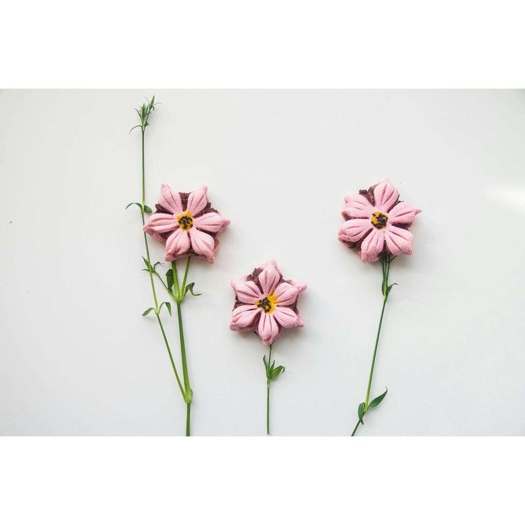 2017 从春约到冬