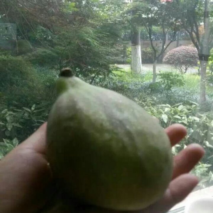 想家的时候就翻翻老照片