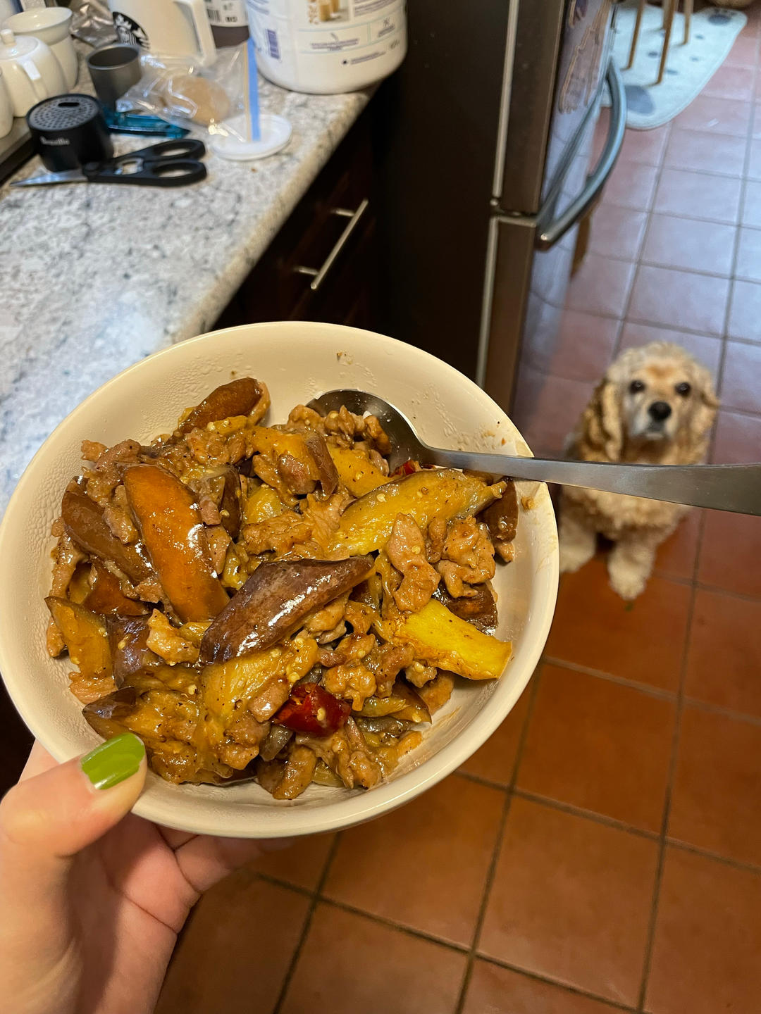 少油版茄子炒肉