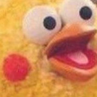 包包豆