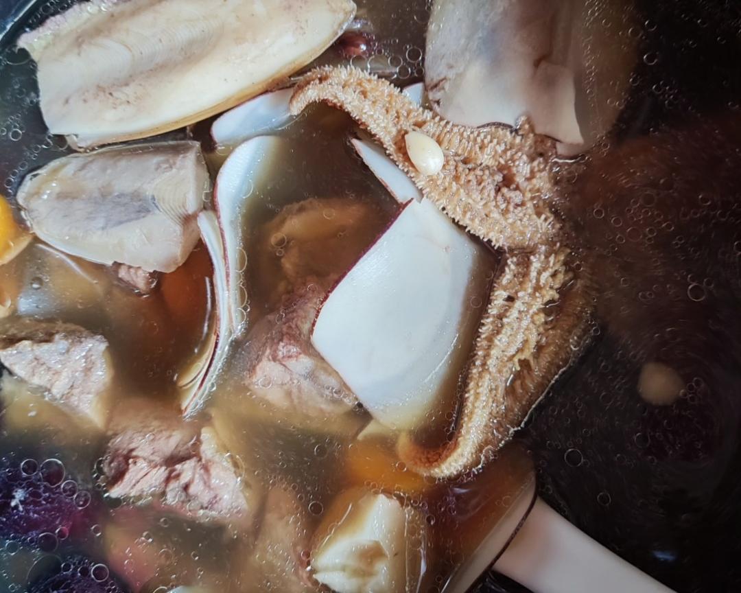 广式汤（二）清热润肺汤：海星、海麻雀煲骨头的做法