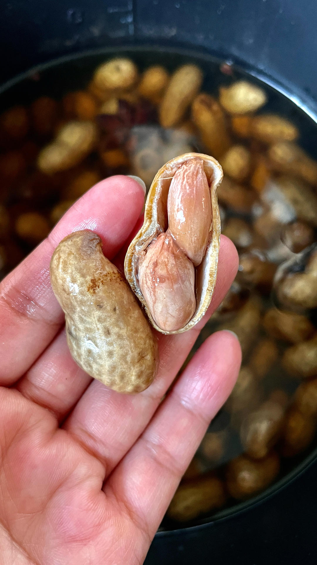 自制追剧低脂小零食【盐水煮花生】咸香入味