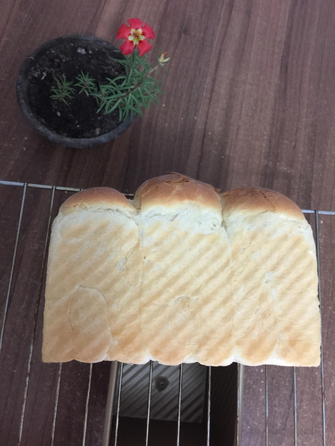 MONT-BLANC BREAD（自用）
