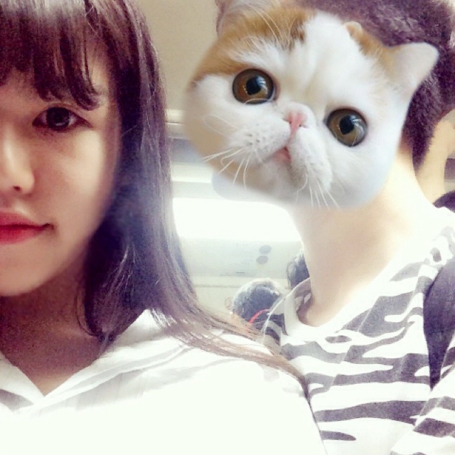 Repheal_tr