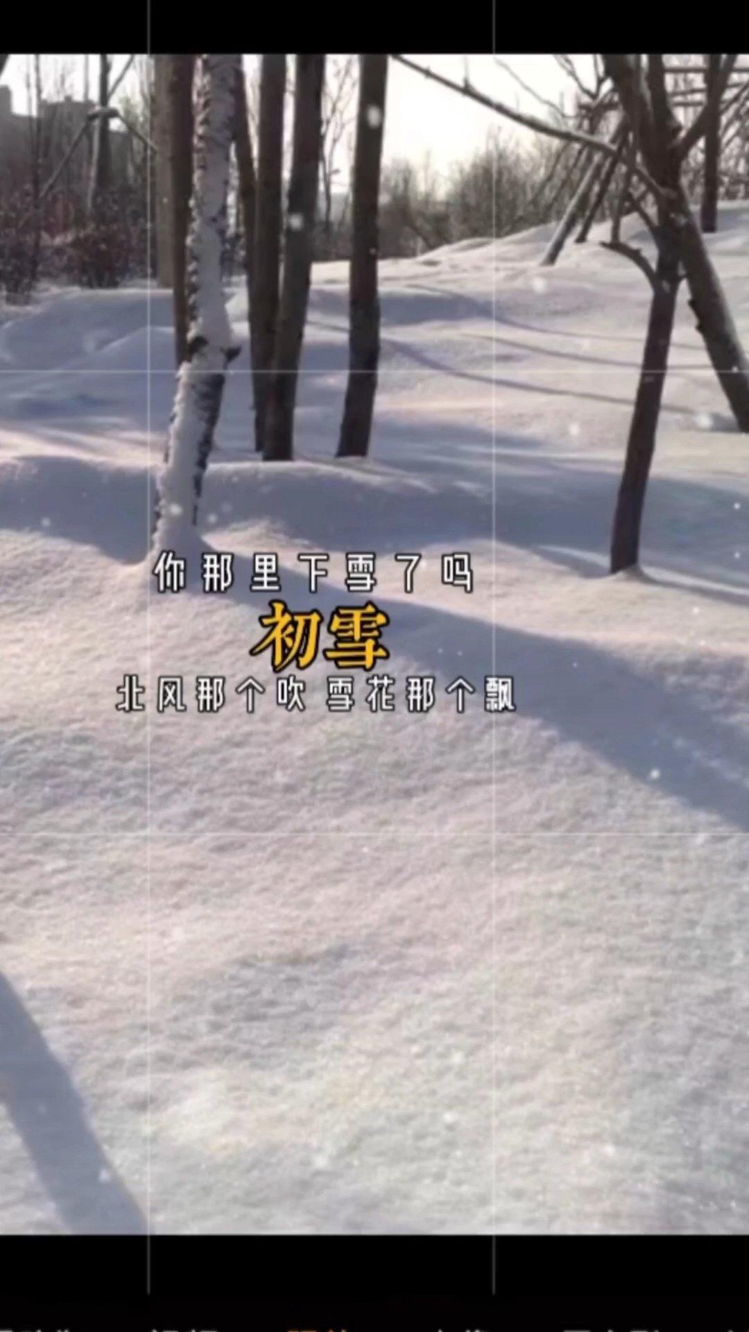 傾城雪