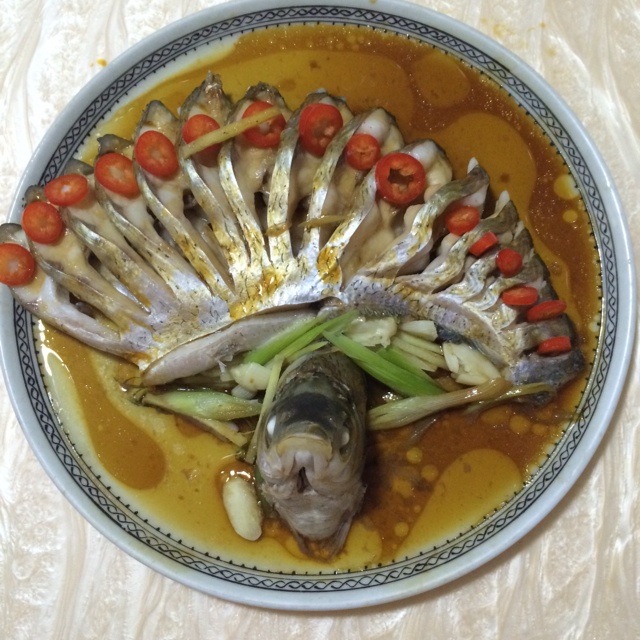 孔雀开屏鱼