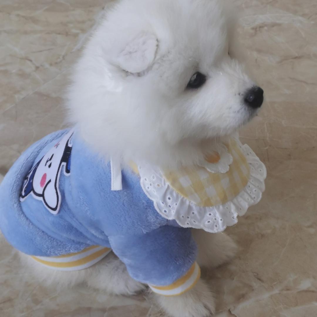 奶茶烧烤不能少