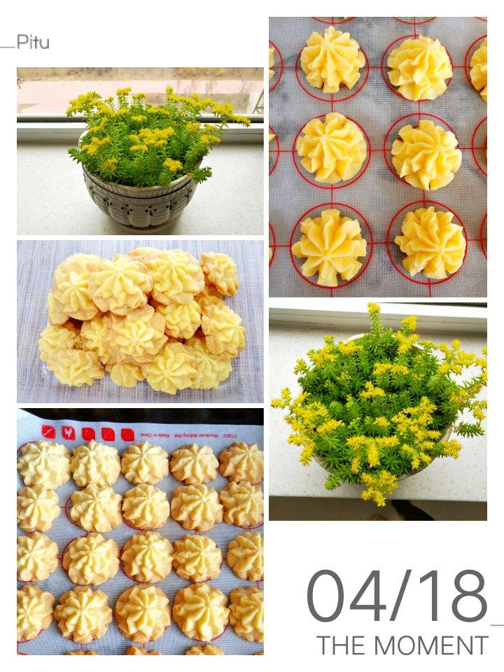 《Tinrry+》酥到掉渣的黄油曲奇