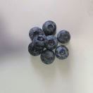 蓝莓的厨房