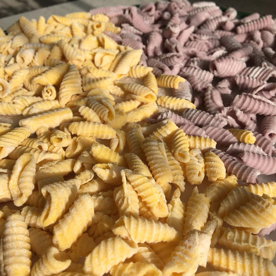 彩色贝壳面螺丝面