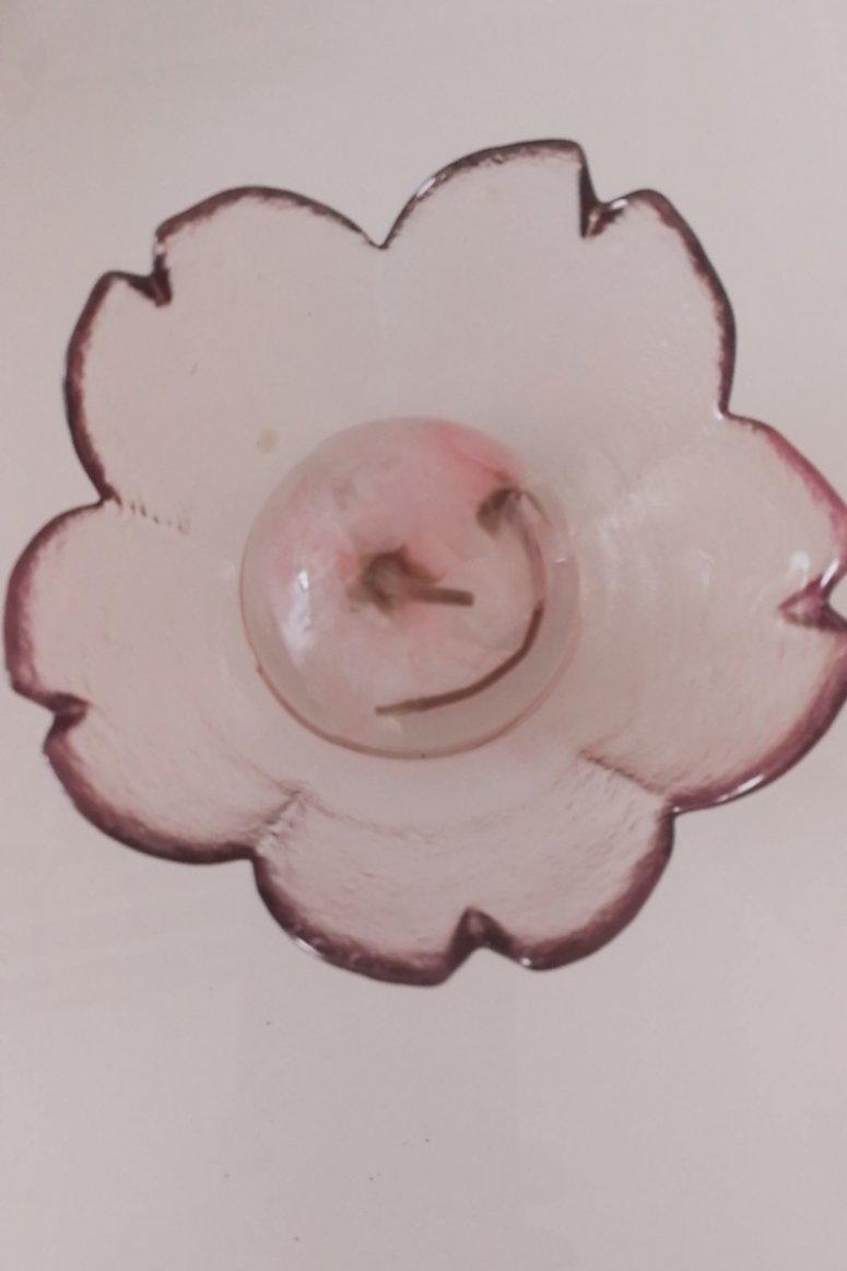 凉粉樱花果冻