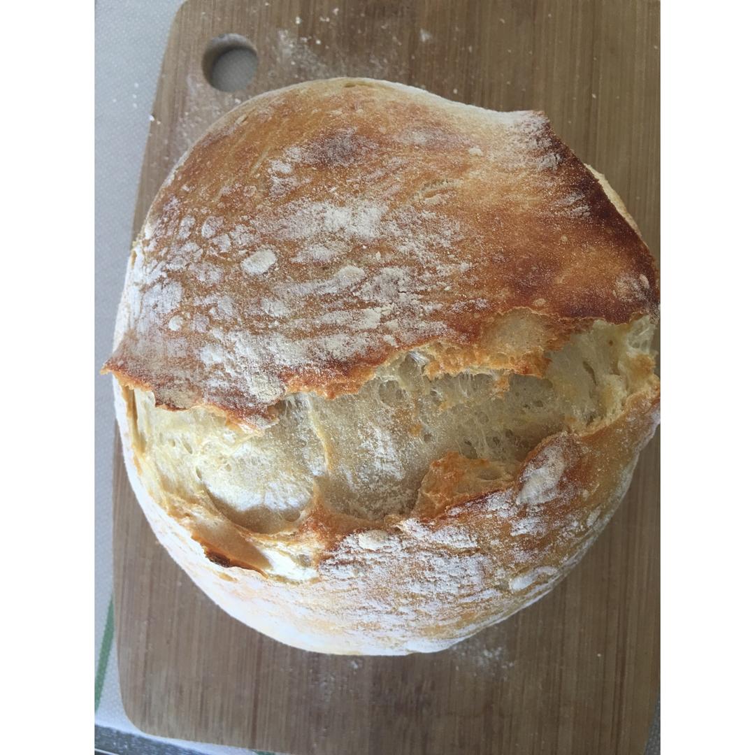 欧包/乡村面包-无油不用揉 No Knead Bread