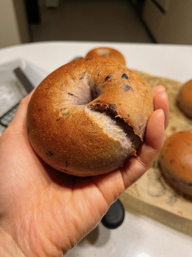 蓝莓🫐乳酪贝果🥯/步骤详细/简单好做