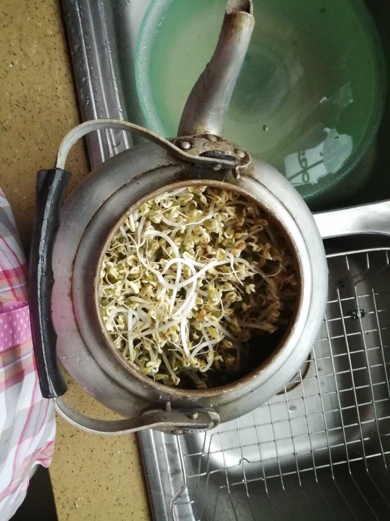 超简单水壶发豆芽