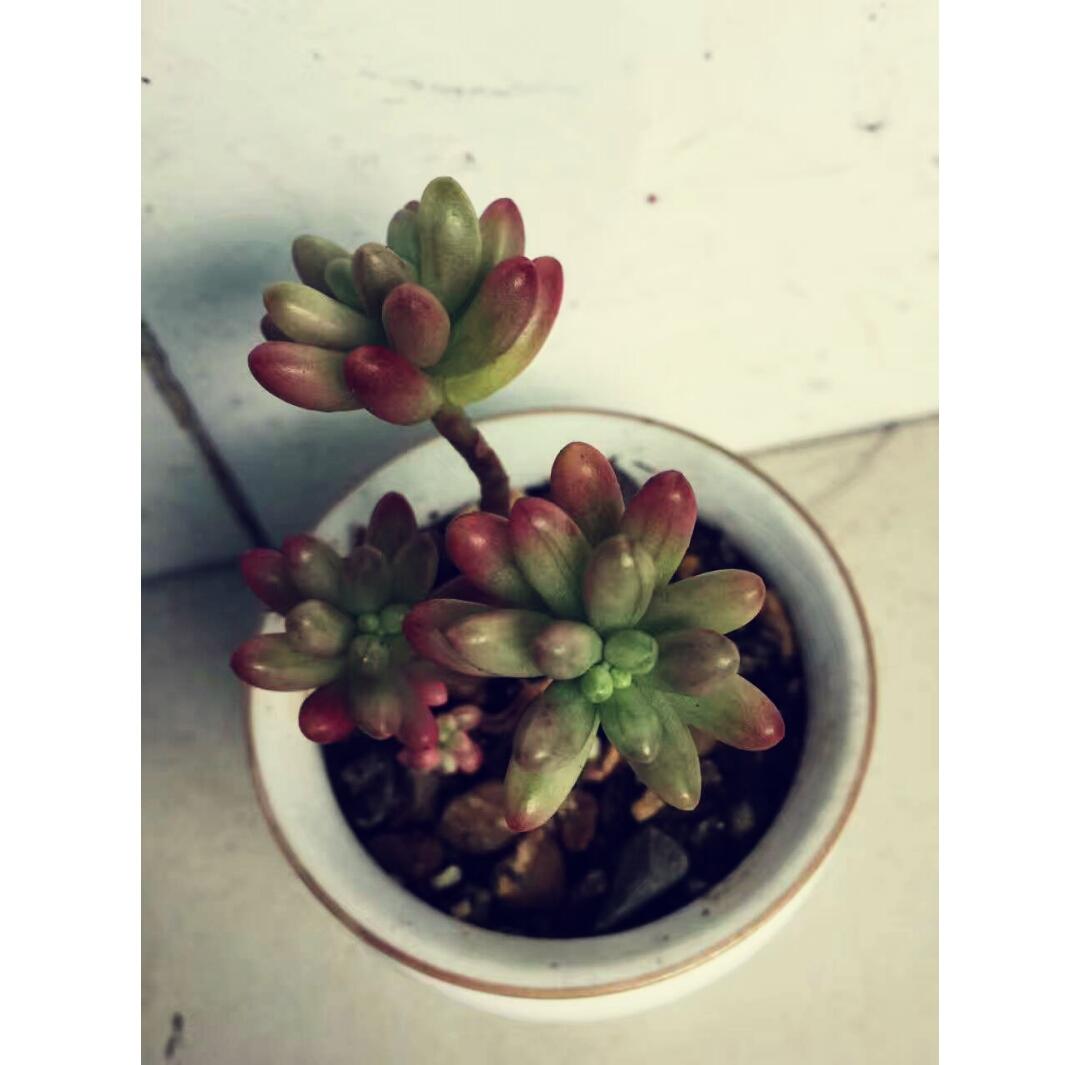 随遇而安的慢生活