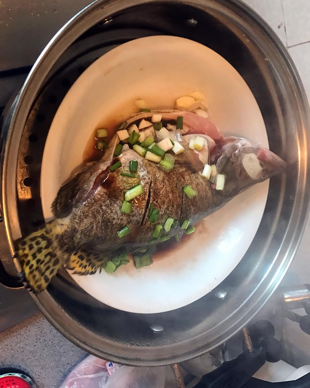 清蒸桂鱼
