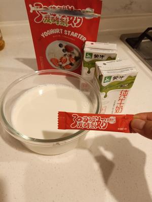 高压锅版酸奶 不用酸奶机的做法 步骤1