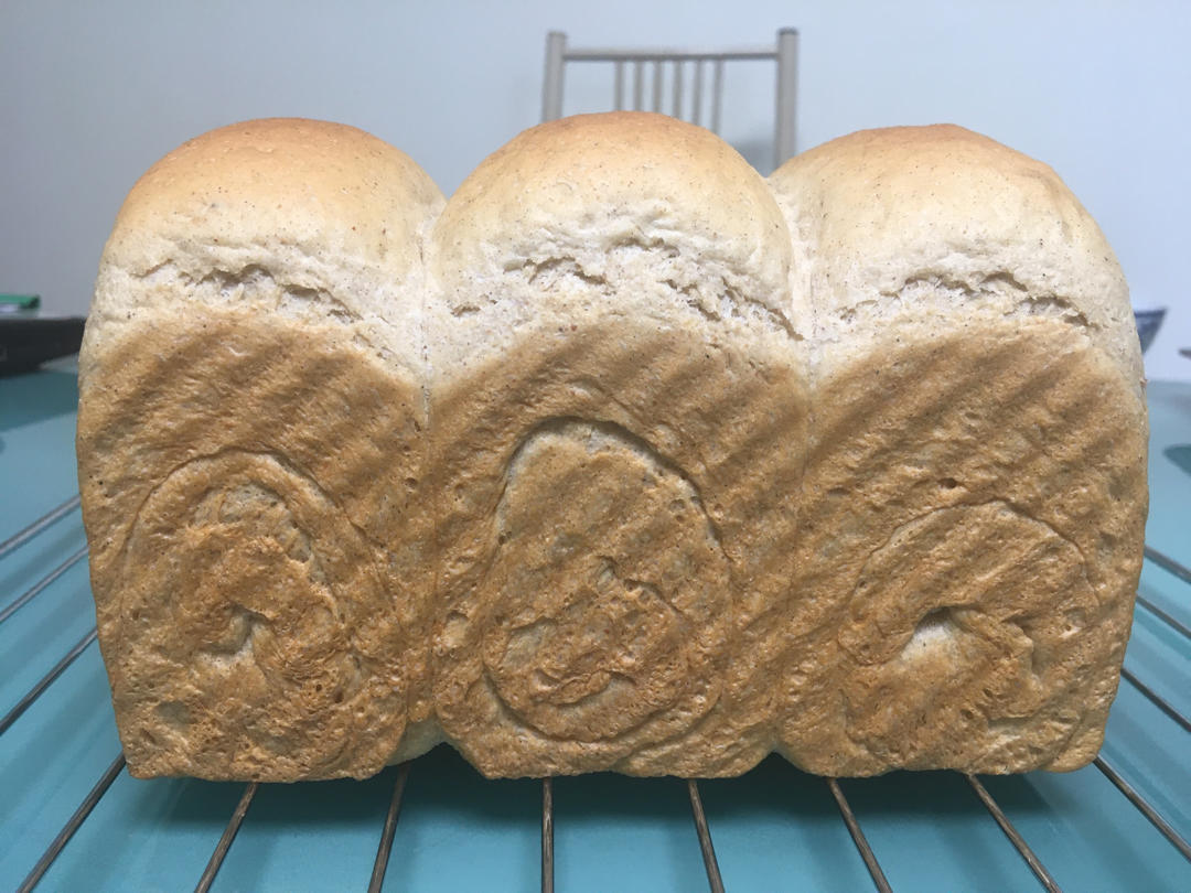 黑麦吐司 70%黑麦 波兰种