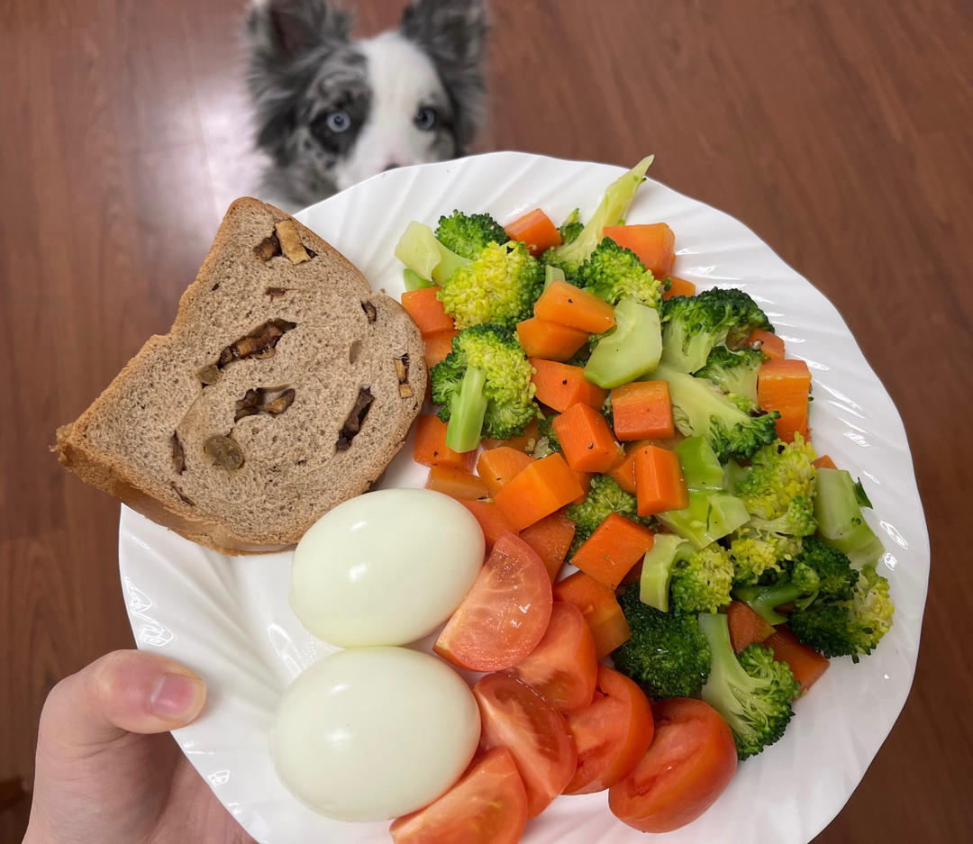 28天科学瘦身｜美国化学饮食养生法｜第一周