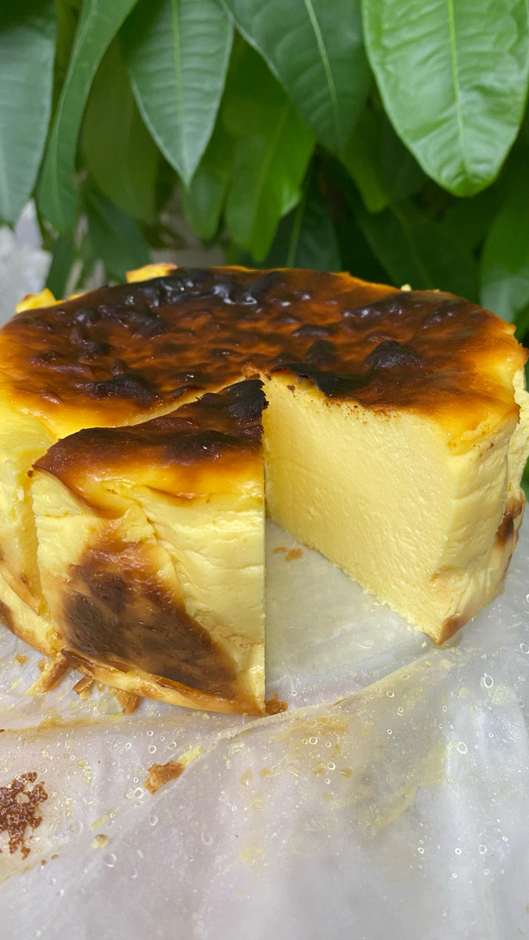 小山进公开食谱-使用大量牛奶，无淡奶油的巴斯克乳酪蛋糕