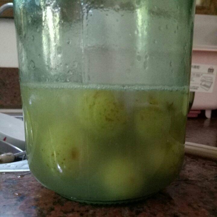 腌制余甘果(油甘)