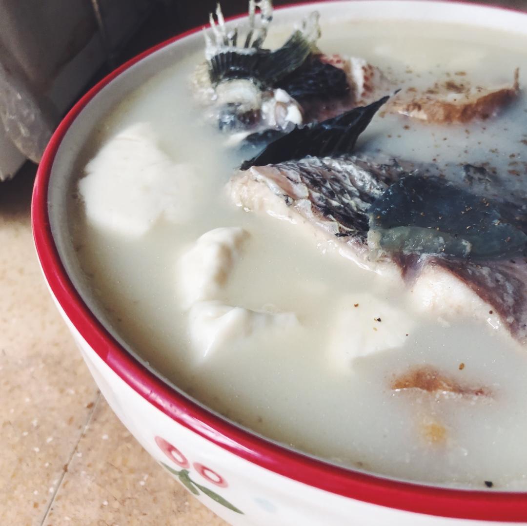 黑鱼汤