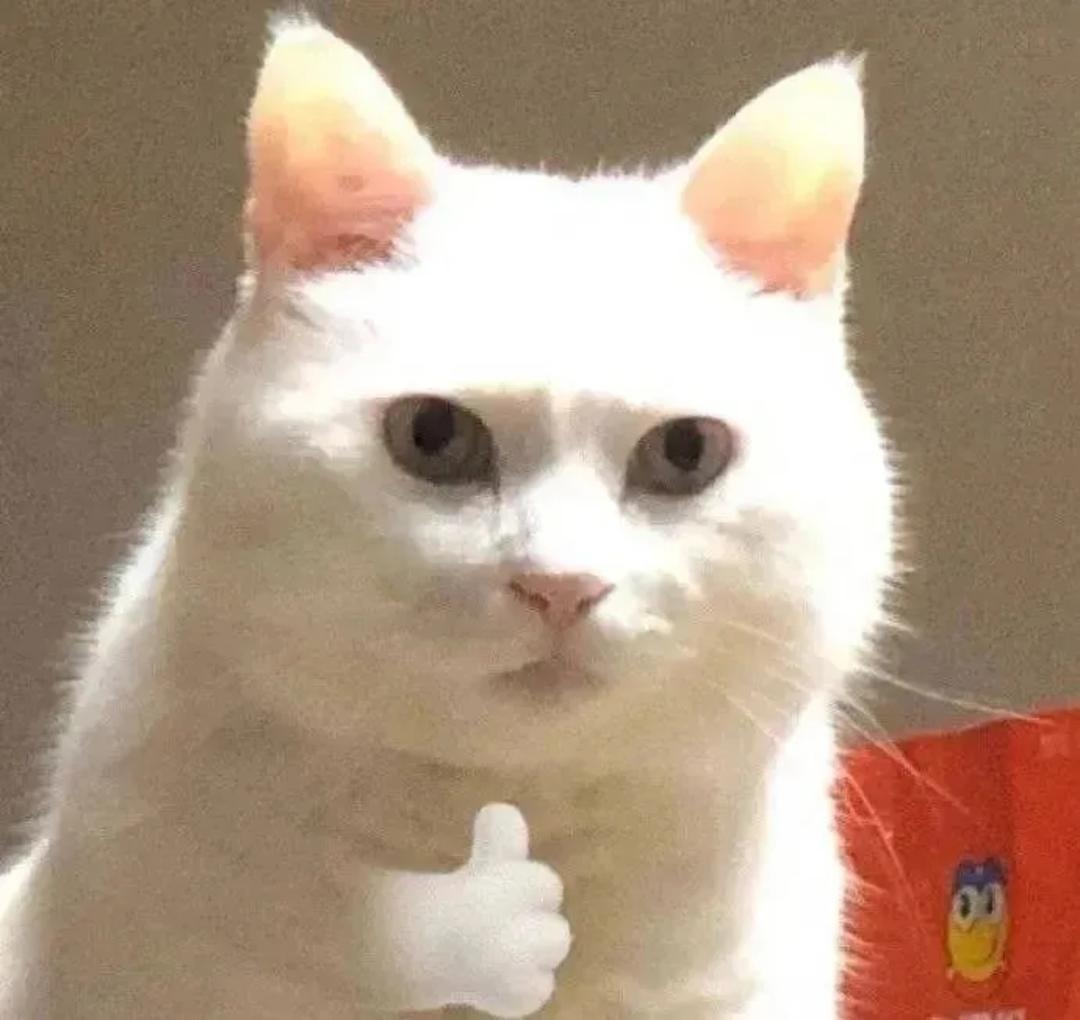 坑太多所以不填了