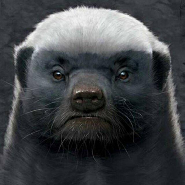 手机用户4619_5dyv