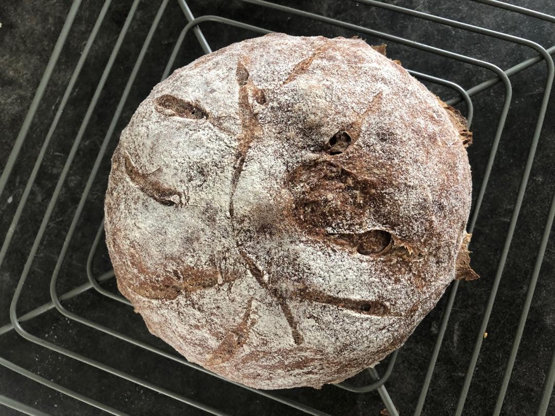 🍞免揉欧包新手入门指南（冷藏发酵、无油无糖）