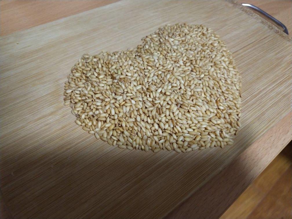 过完节来刮刮油：糙米茶