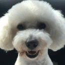 萌萌就是张带囍